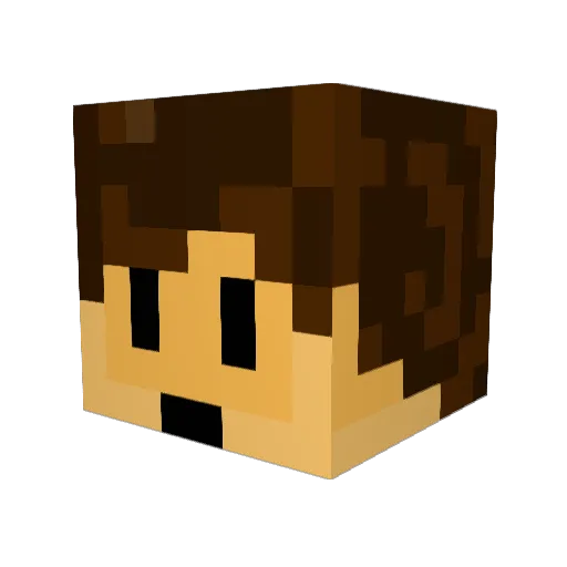 PIanets Minecraft avatar head, 3D render