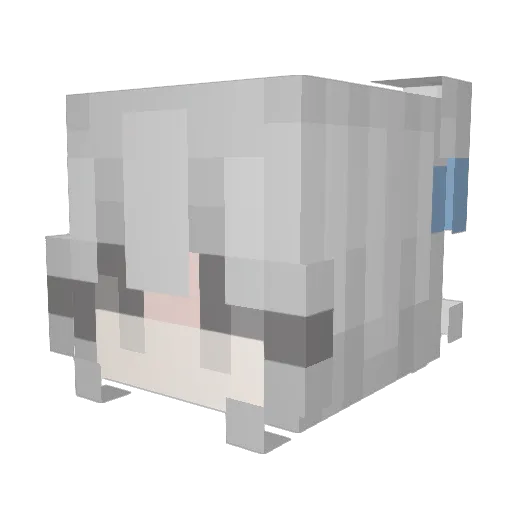 PIanfown13 Minecraft avatar head, 3D render