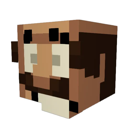 PInchyMac Minecraft avatar head, 3D render