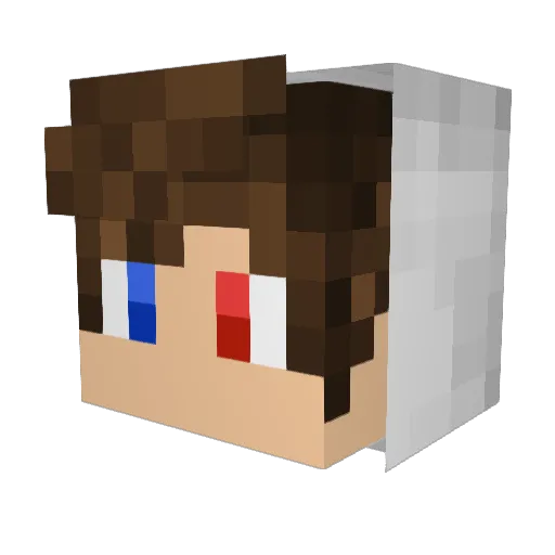 PJ1234 Minecraft avatar head, 3D render