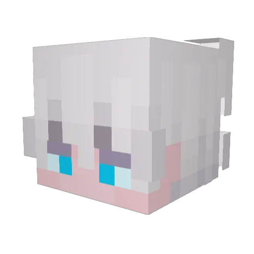 PJ35P Minecraft avatar head, 3D render