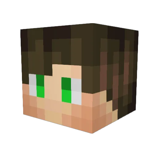 PJETTRO Minecraft avatar head, 3D render