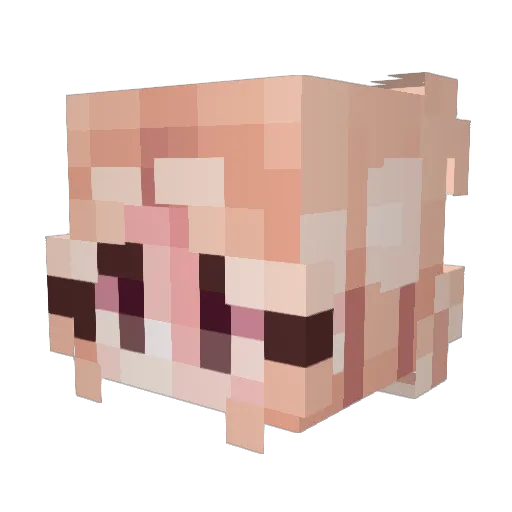 PJSMartins Minecraft avatar head, 3D render