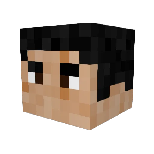 PK_Ace Minecraft avatar head, 3D render