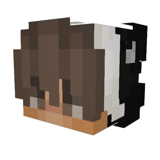 PK_Dami_04 Minecraft avatar head, 3D render