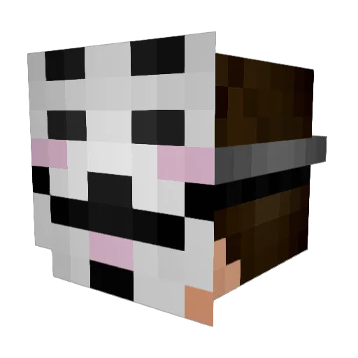 PK_cks Minecraft avatar head, 3D render