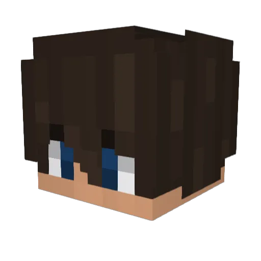PKzinBRS Minecraft avatar head, 3D render