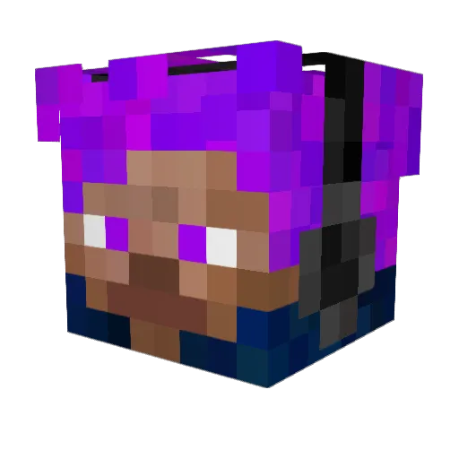 PLATONUZ Minecraft avatar head, 3D render