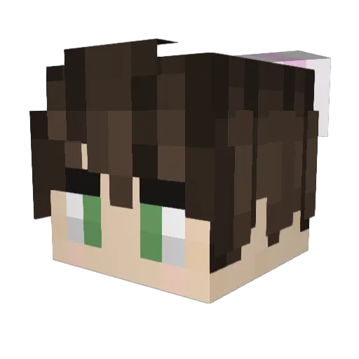 PLAYB0YD Minecraft avatar head, 3D render