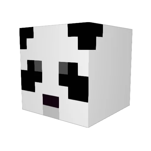 PLAYERMATHEUS3 Minecraft avatar head, 3D render