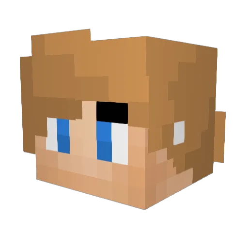 PLAY_NOIR_Owlaw2 Minecraft avatar head, 3D render