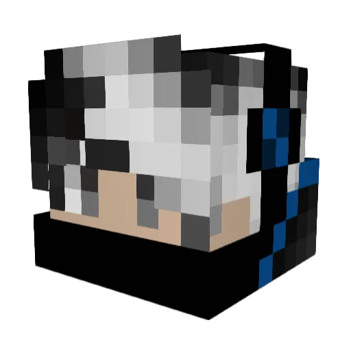 PLC_paco Minecraft avatar head, 3D render