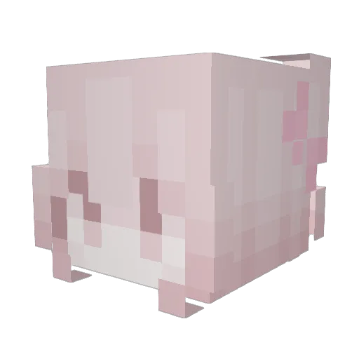 PLEASEHELPMEOMG Minecraft avatar head, 3D render