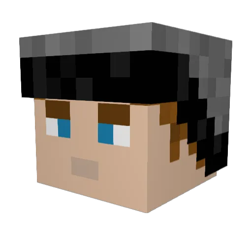 PLOSIM Minecraft avatar head, 3D render