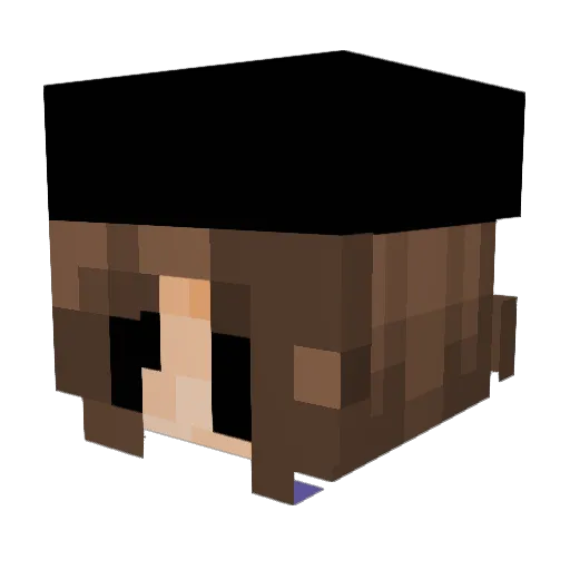 PLUTO443464 Minecraft avatar head, 3D render