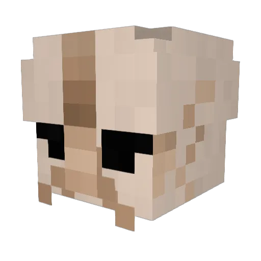 PLXmain Minecraft avatar head, 3D render