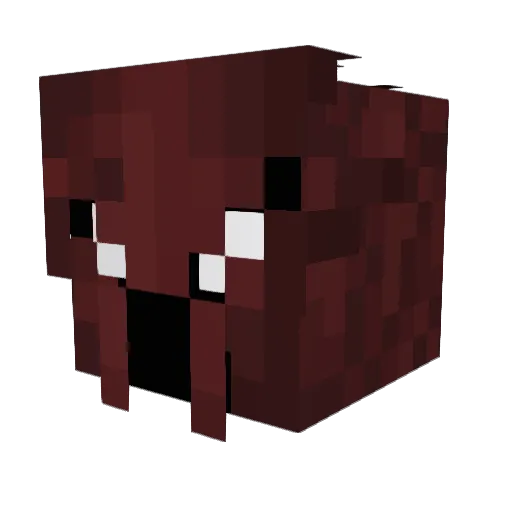 PLZNter Minecraft avatar head, 3D render