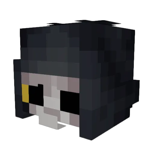 PLacidLamb Minecraft avatar head, 3D render