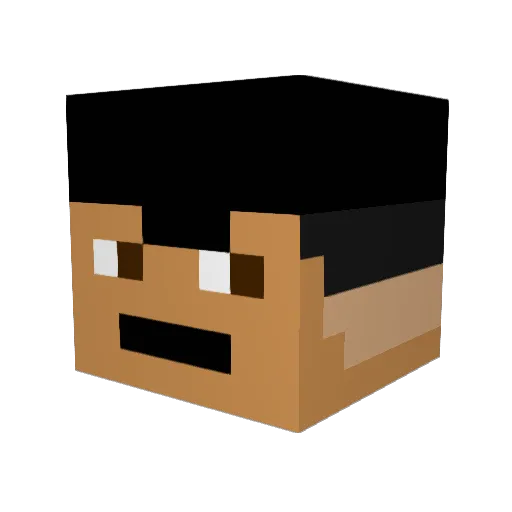 PLattFisch2x Minecraft avatar head, 3D render