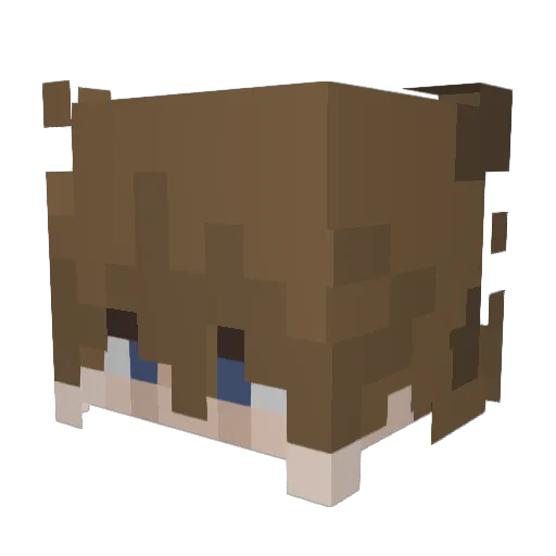 PLiam Minecraft avatar head, 3D render