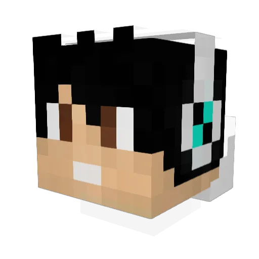 PMGAMER26 Minecraft avatar head, 3D render