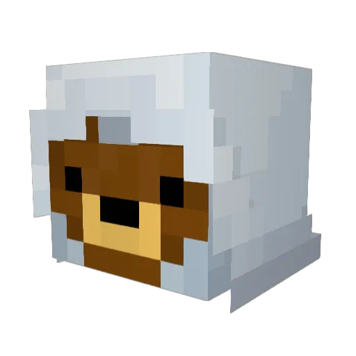 PMOpeti Minecraft avatar head, 3D render