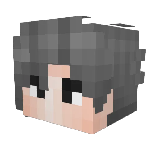PMrogan Minecraft avatar head, 3D render