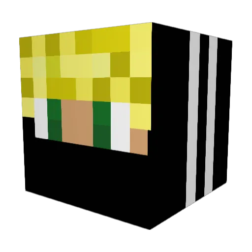 PNAN10 Minecraft avatar head, 3D render