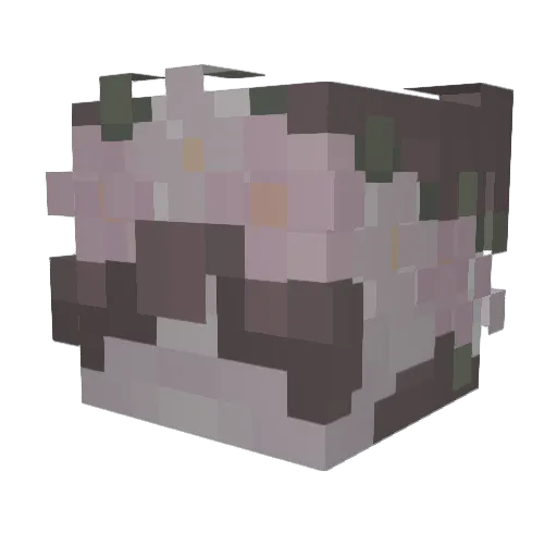 PNWstargazing Minecraft avatar head, 3D render