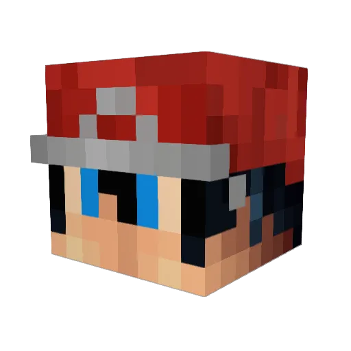 PNpenguin Minecraft avatar head, 3D render