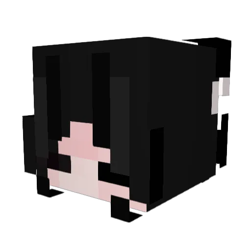 PNutman08 Minecraft avatar head, 3D render