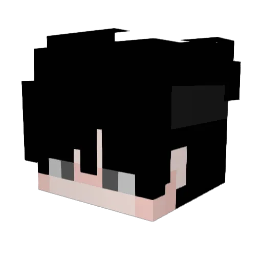POCHI_PELUCA Minecraft avatar head, 3D render