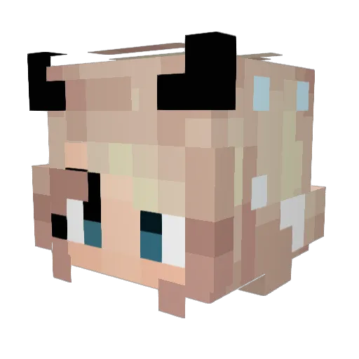 POCIt23 Minecraft avatar head, 3D render
