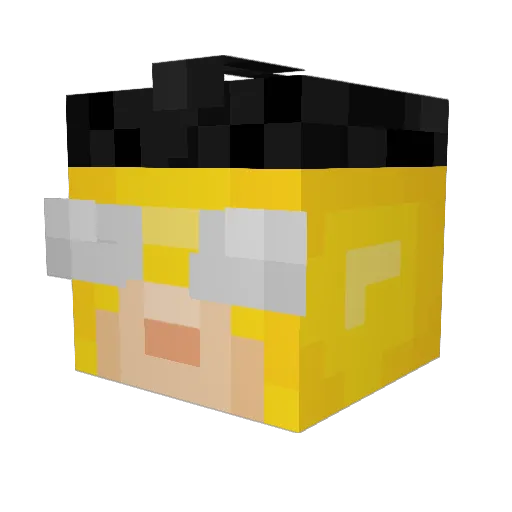 POCONATER Minecraft avatar head, 3D render