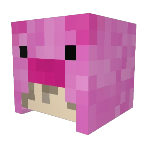 POCOton Minecraft avatar head, 3D render