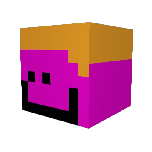 POGGERS6249 Minecraft avatar head, 3D render