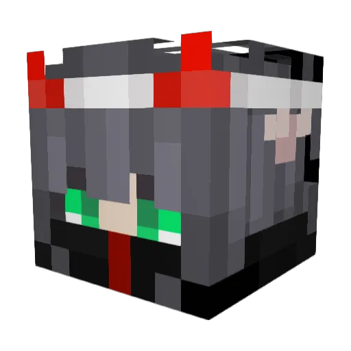 POKEDARK11 Minecraft avatar head, 3D render