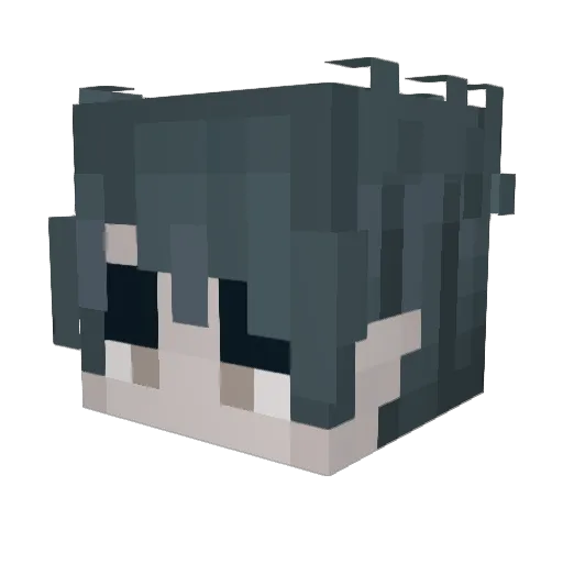 POLEmitPISTOLE14 Minecraft avatar head, 3D render