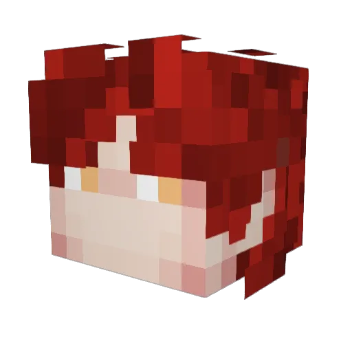 POLNI_GANDON228 Minecraft avatar head, 3D render