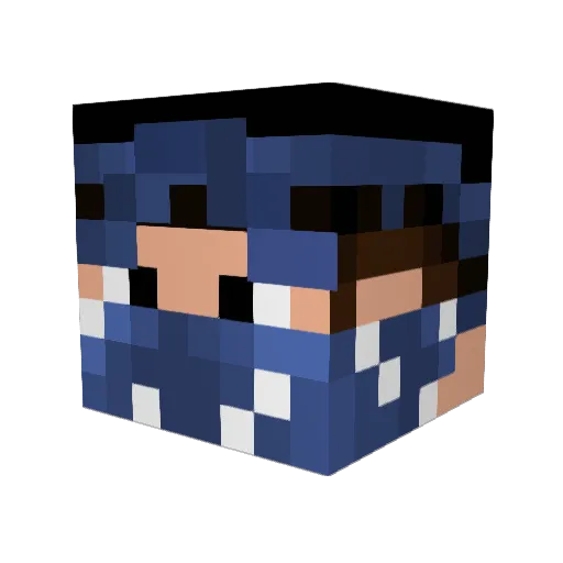 POLOHOST Minecraft avatar head, 3D render
