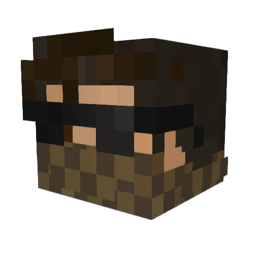 POLOS__ Minecraft avatar head, 3D render