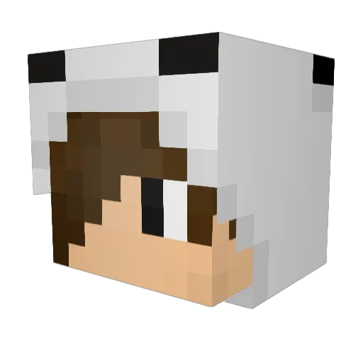 POOPEA123 Minecraft avatar head, 3D render
