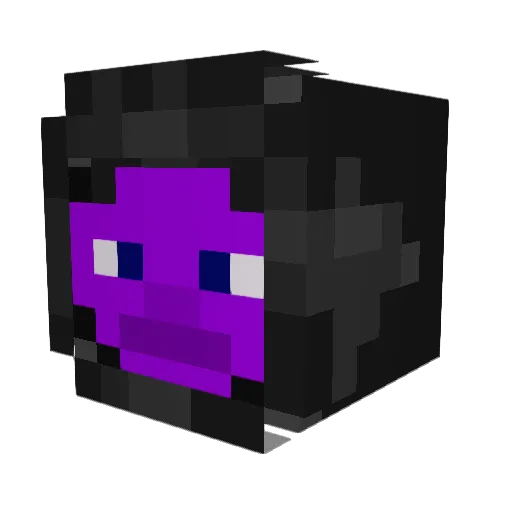 POOPLOLKO Minecraft avatar head, 3D render