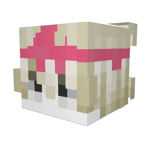 POOPYPANTSSAM Minecraft avatar head, 3D render
