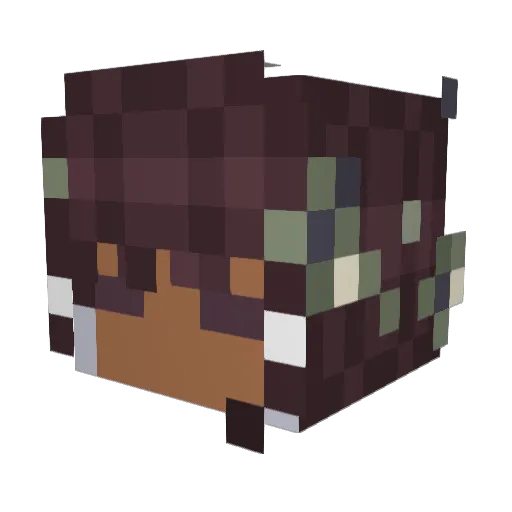 POORDOVE Minecraft avatar head, 3D render