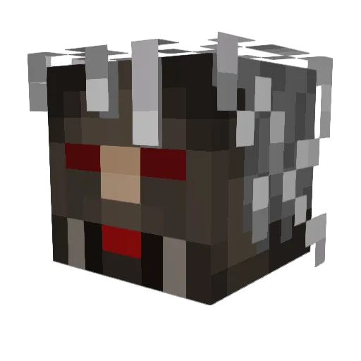 POORPANDA728 Minecraft avatar head, 3D render