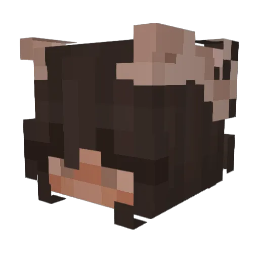 POOTIELUV Minecraft avatar head, 3D render