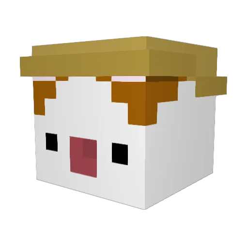 POPCAT_9 Minecraft avatar head, 3D render