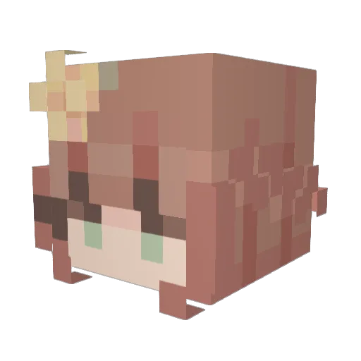 POPCON9 Minecraft avatar head, 3D render