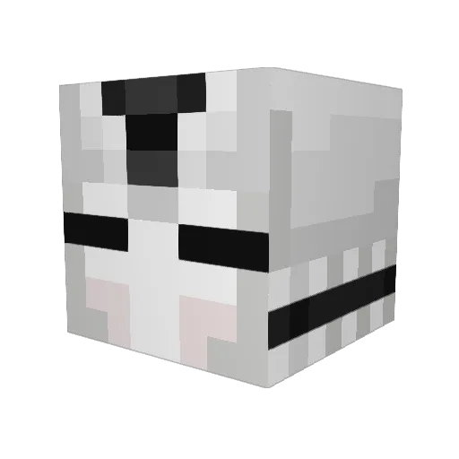 POPETHAN Minecraft avatar head, 3D render